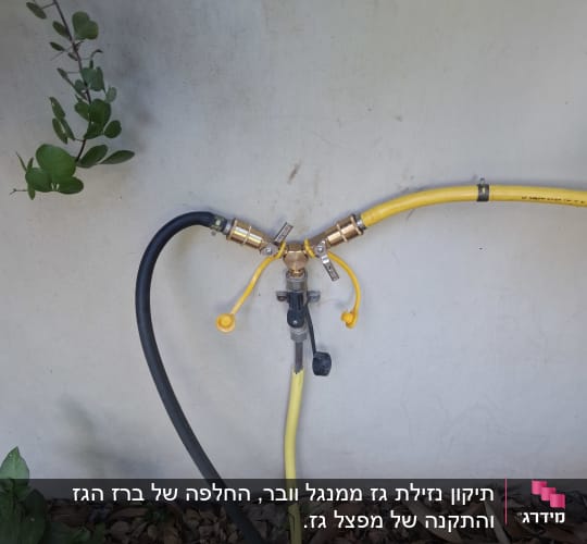 צינורות גז מחוברים לקיר עם עלים מסביב